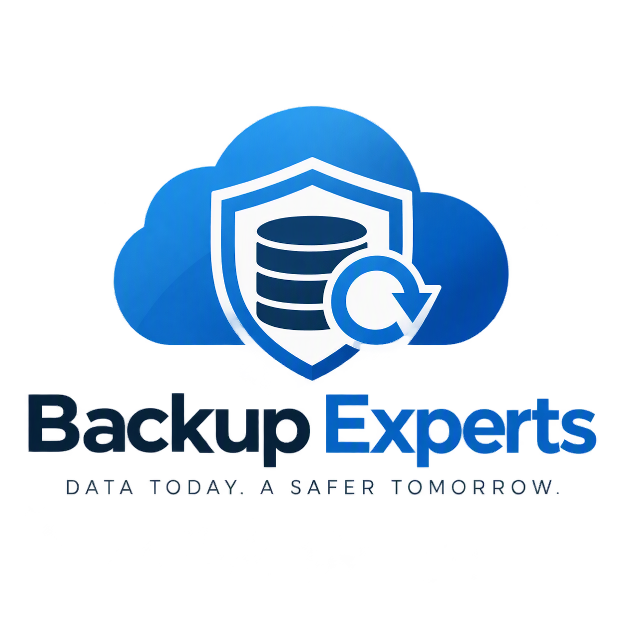 Backup Experts logo